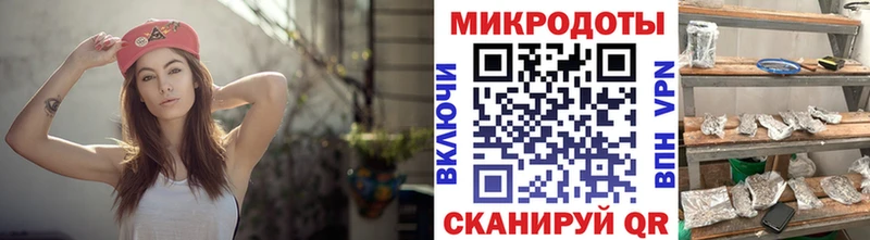 сколько стоит  Димитровград  Псилоцибиновые грибы Psilocybe 