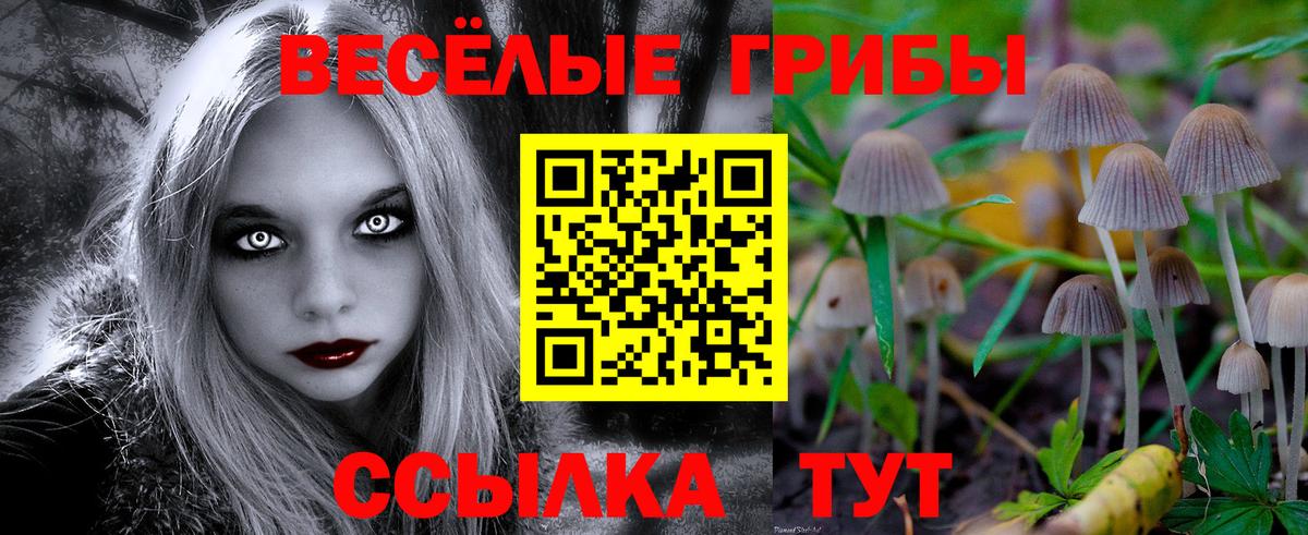 Псилоцибиновые грибы Magic Shrooms  Галлюциногенные грибы Magic Shrooms  Вход с VPN  Димитровград 