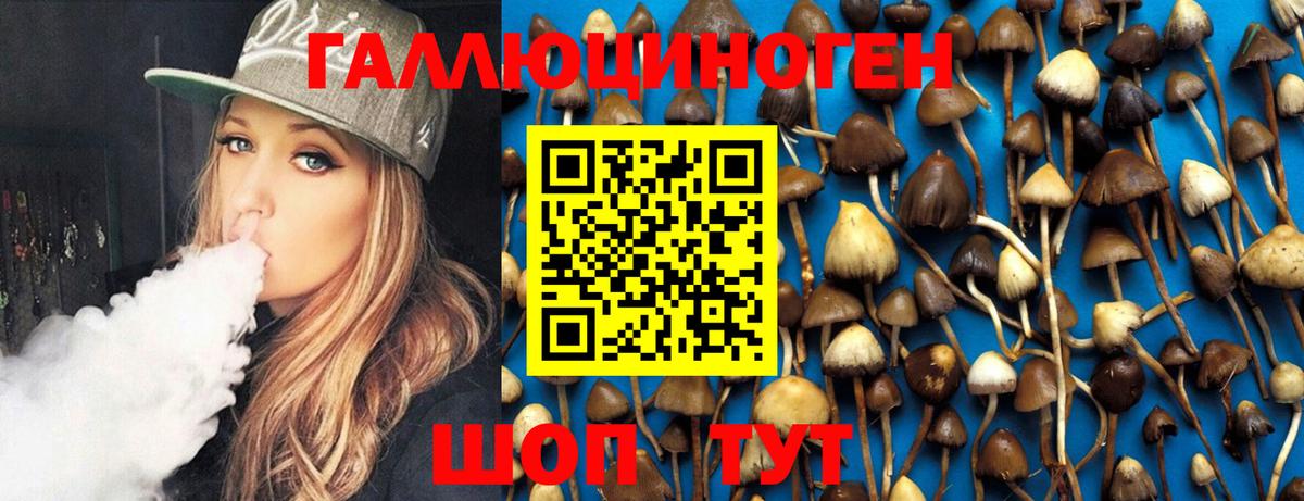 Псилоцибиновые грибы GOLDEN TEACHER Димитровград