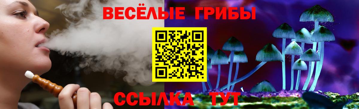 Галлюциногенные грибы мухоморы  где купить   Димитровград 